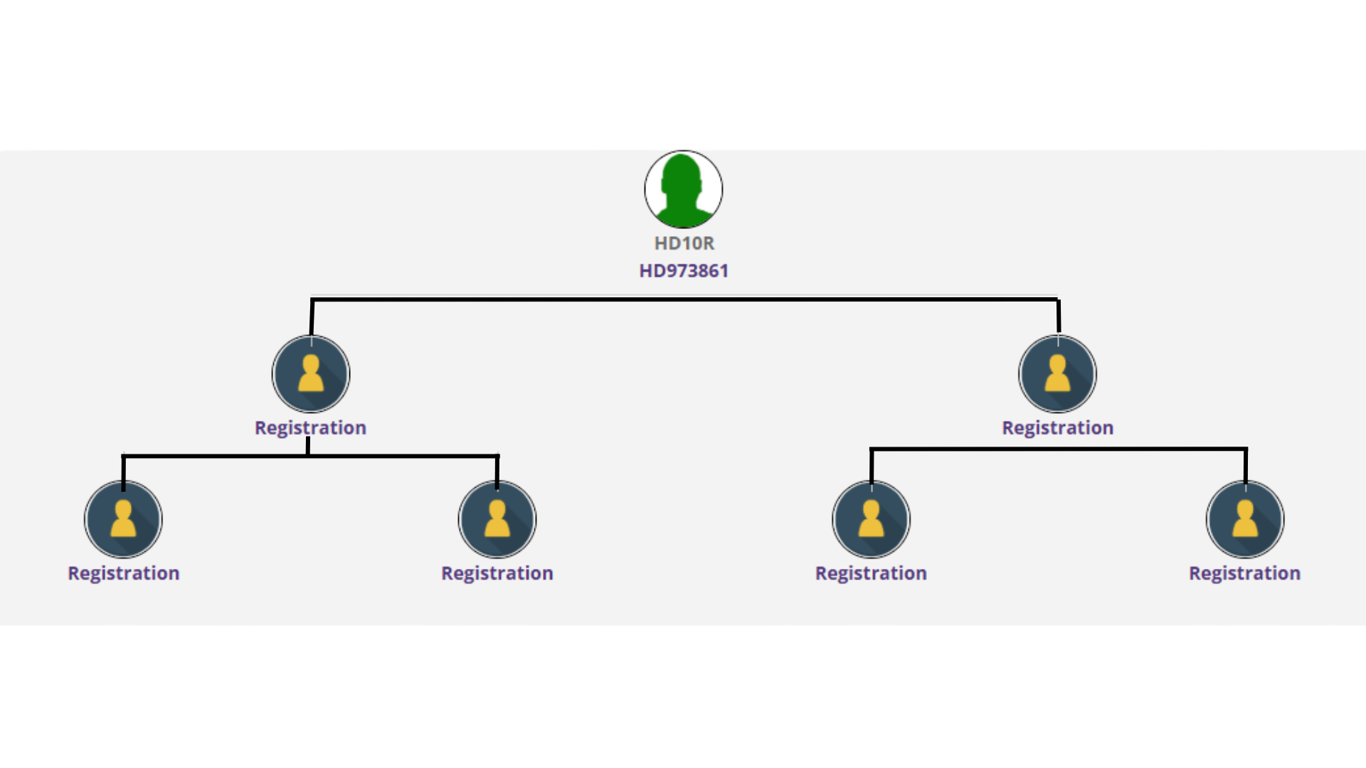 Distributor Network with direct selling business